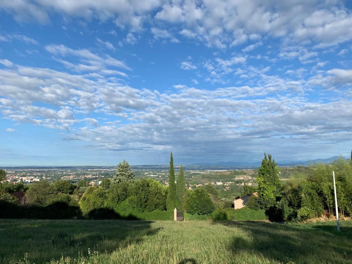 Villa Isidoro Ampio Parco ,Piscina Privata, Arte E Giochi , Fitness 维罗纳 外观 照片