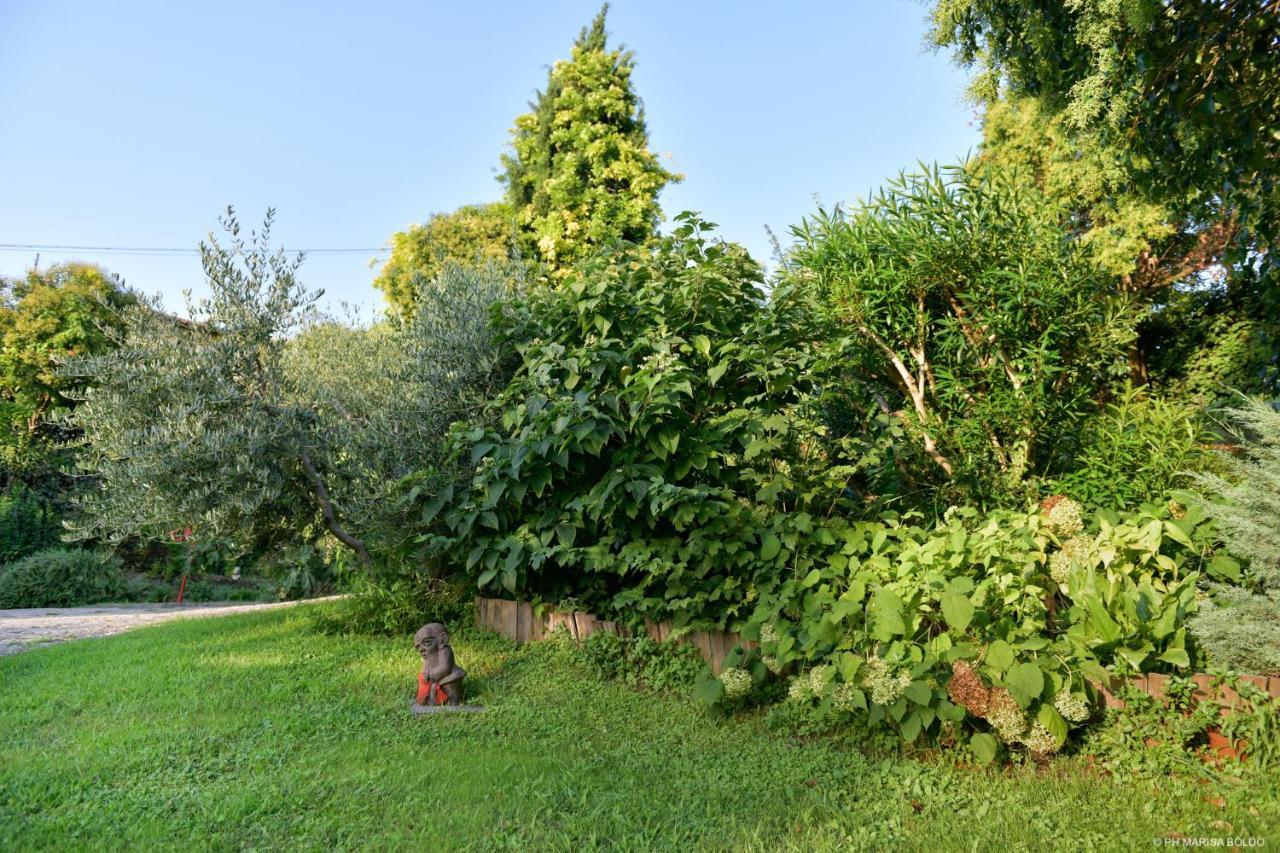 Villa Isidoro Ampio Parco ,Piscina Privata, Arte E Giochi , Fitness 维罗纳 外观 照片